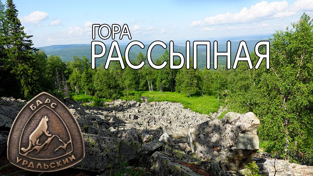 Проект уральский барс