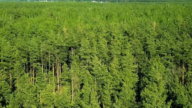 Карамышево (Липецкая область)