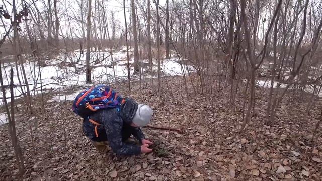 Приморские подснежники. Первые цветы весны... смотреть онлайн