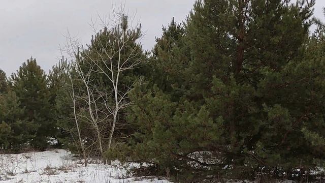 Новолуние 1 февраля 2022. Что нужно обязательно сделать. Влияние Луны. Важный период...
