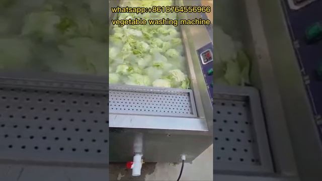 Automatic Vegetable Washer Fruit Bubble Ozone Activated Vegetable Cabbage Washing Machine