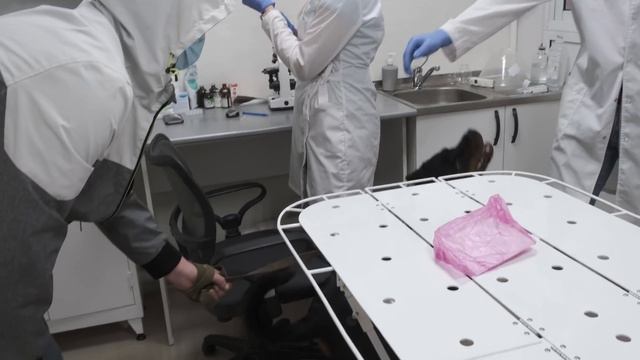 В гости к Графу. Щенок Ротвейлера. Ставим первую прививку смотреть онлайн