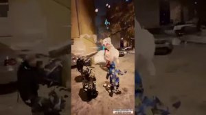 Белый Мишка Данилка поздравляет Романа 🐻❄️🐻❄️🐻❄️🐻❄️🐻🐻🐻