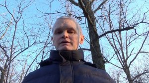Польза коры Дуба