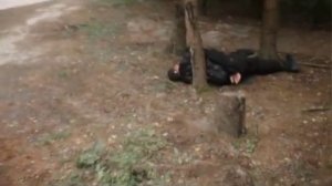 Обзор сериала "Выжить после"