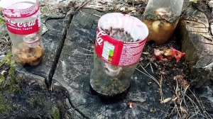 Простое средство от ОС