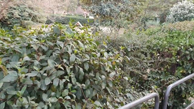 Я до сих пор не могу поверить-Россия и Украина я хочу Мира!🤦♀️😥 смотреть онлайн