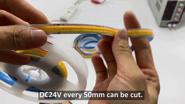 Dimmable Dual White Color COB Flexible LED Strip Lights, Dual Row CRI 90 DC24V 756 chips per meter смотреть онлайн