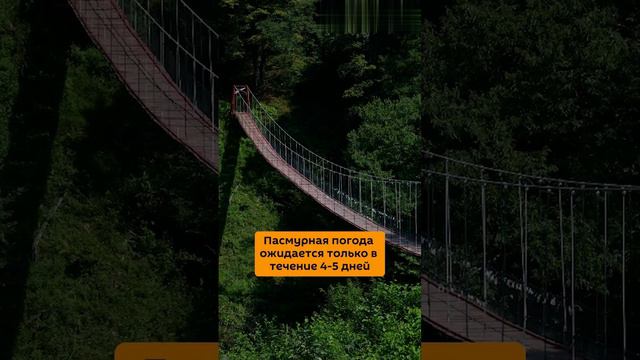 Какая будет погода в Абхазии в ближайшие полмесяца (1-я половина сентября, ОСЕНЬ-2024)