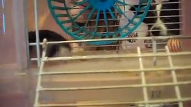 Надо в дорогу, в дорогу, в дорогу мне торопиться смотреть онлайн