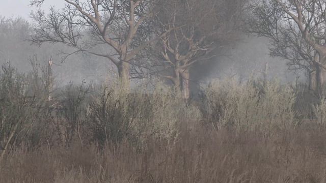 Brutal Ambush of M1A2 ABRAMS Tanks! Dozens of obsolete Russian T-72 tanks destroyed in Dontsk regio смотреть онлайн