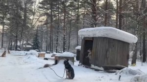 Дари добро