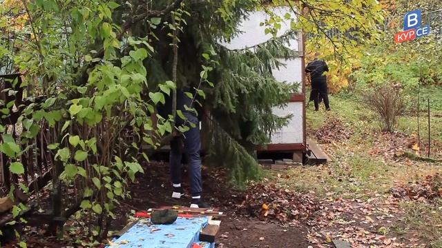 Вилы и грабли. Волонтерская помощь смотреть онлайн