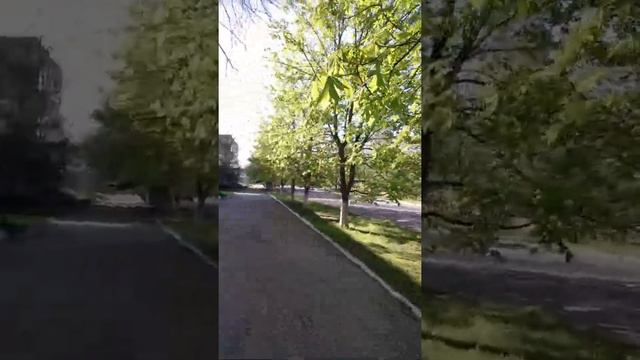 Старобешево 2017 ( Донецкая обл)
