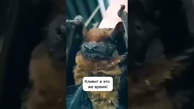 Репостите к себе в сторис, если у вас такие же фотогеничные клиенты как у меня? #тыменяснимаешь смотреть онлайн