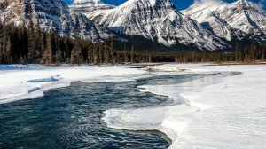 Paul Reeves. Around the Sun