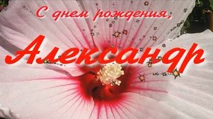 АЛЕКСАНДР, С ДНЕМ РОЖДЕНИЯ