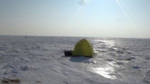 рыбалка на старом голубом заливе. 21.01.23