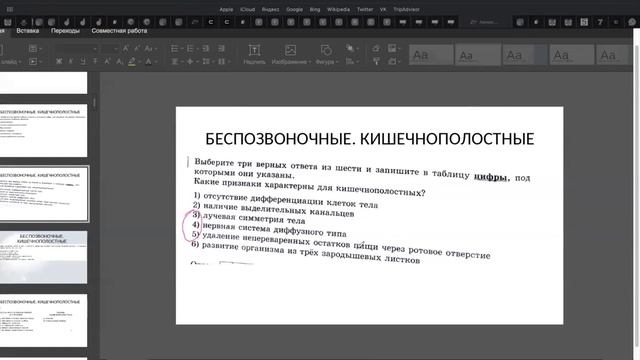 Запись занятия мини-группы с годового курса подготовки к ЕГЭ по теме тип Кишечнополостные смотреть онлайн