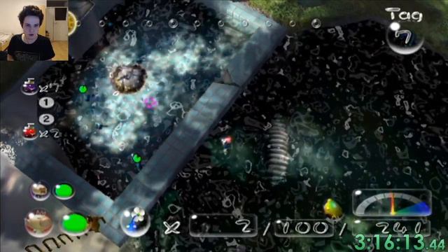 100% Pikmin 2 Race gegen Spirel смотреть онлайн