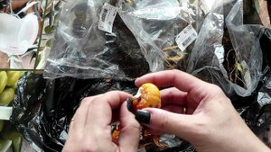 Обзор посылки из Садов России ч.2.mp4