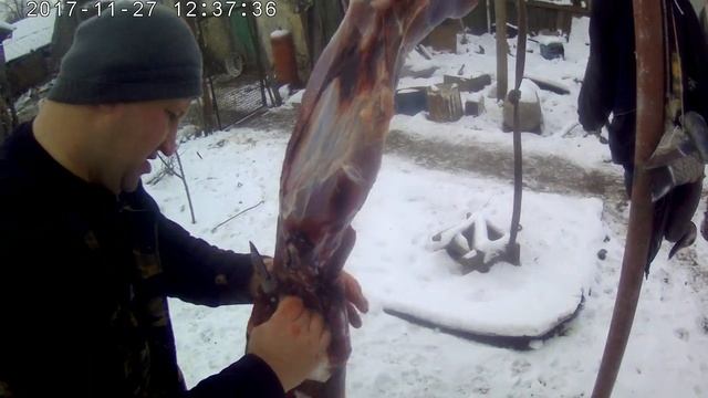 Skinning of a hare.Снятие шкуры с зайца разделка несмотреть слабонервным. смотреть онлайн