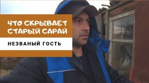 УДИВИТЕЛЬНЫЕ НАХОДКИ В САРАЕ | НАСЛЕДИЕ ПРОШЛОГО #находкивсарае #наследиепрошлого #переездвдеревню