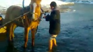 Агай,куйзынмы (Башкиры Поймут)