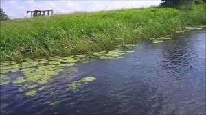 Путешествие по реке Воронеж