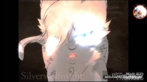 Коты~воители:Над вами