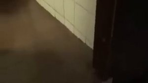 Гостиница Ангара в Иркутске.wmv