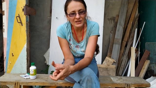 фитоспорин и байкал против фитофторы смотреть онлайн