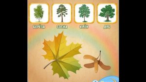 Деревья. Видеоурок логопеда для детей 5 6 лет