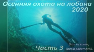 Осенняя охота на лобана 2020 Часть 3