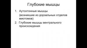 Мышцы спины. Интерактивный атлас "Пирогов"