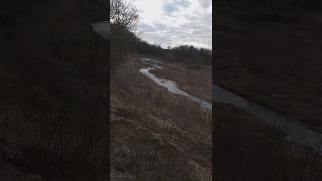 Шешу̀пе, река , Краснознаменске,Калининградская обл.