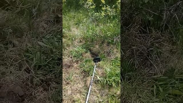 120кг за пару часов