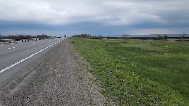 Поехали к истощенным щенкам на дачах и увидели на трассе истощенного щенка. Приехала из Москвы. смотреть онлайн