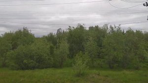 Посёлок Сивая Маска. 2023 год.