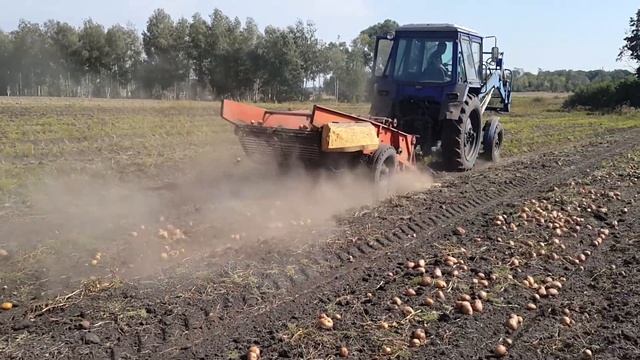Уборка картофеля Воронеж смотреть онлайн
