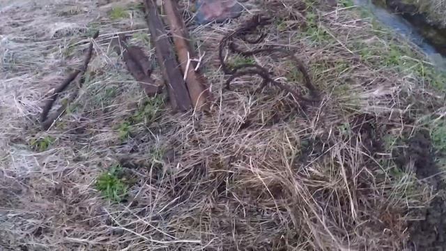 Коп Металла. Рельсы с металлоискателем. AR 944M. смотреть онлайн