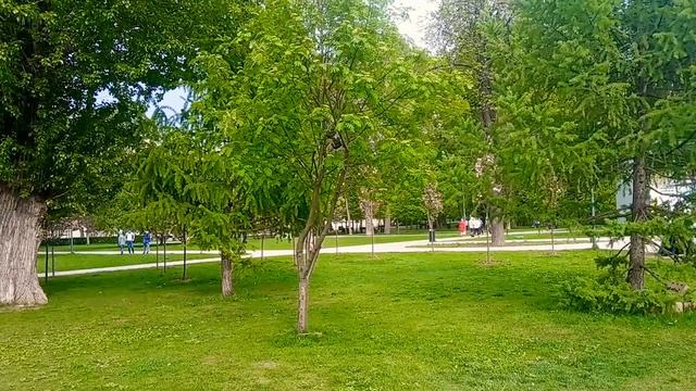 ? КУДА СХОДИТЬ В МОСКВЕ С РЕБЕНКОМ?