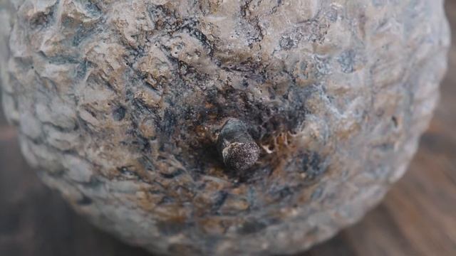 Арт-объект ЖЕЛУДЬ смотреть онлайн