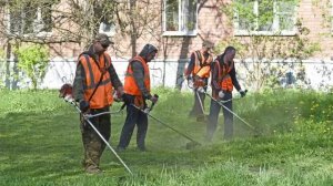 Вся правда о сезонной работе газонокосильщика