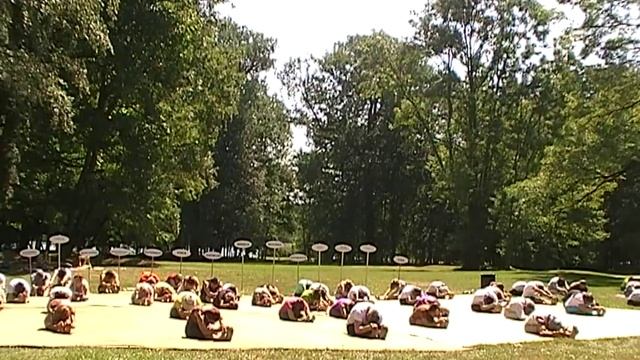 Коловорот на XII Международном Турнире по Йоге ШЙГАС смотреть онлайн