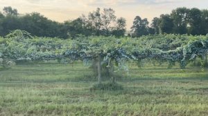 Маленькие города США