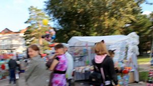Липин Бор день района 2017г.