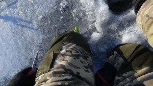 ЛОВЛЯ СУДАКА НА РАТЛИНЫ И ДЖИГ СО ЛЬДА!)))))) ОТКРЫТИЕ ПО СУДАКУ!!))))