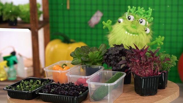 УВЛЕКАТЕЛЬНЫЕ ИГРЫ ОТ ГРИНИ | Мир огорода на окне для юных агрономиков