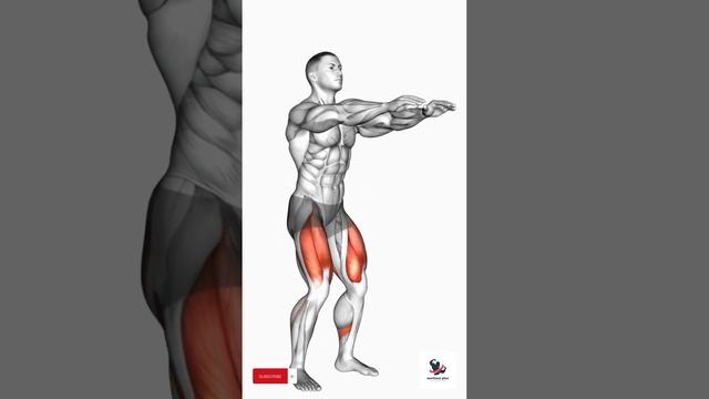 Exercises to strengthen the Hips